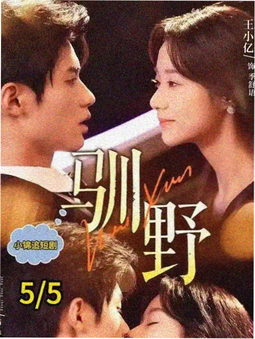 灾难剧集推荐封面